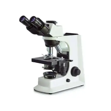 Microscope