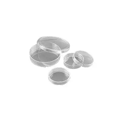 Cell Culture Essentials