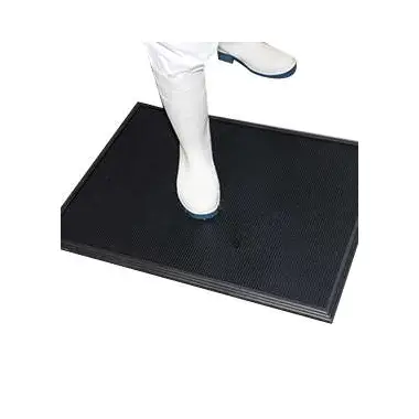 Shoe Sanitizing Mat